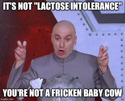 Dr Evil Laser Meme | IT'S NOT "LACTOSE INTOLERANCE"; YOU'RE NOT A FRICKEN BABY COW | image tagged in memes,dr evil laser | made w/ Imgflip meme maker