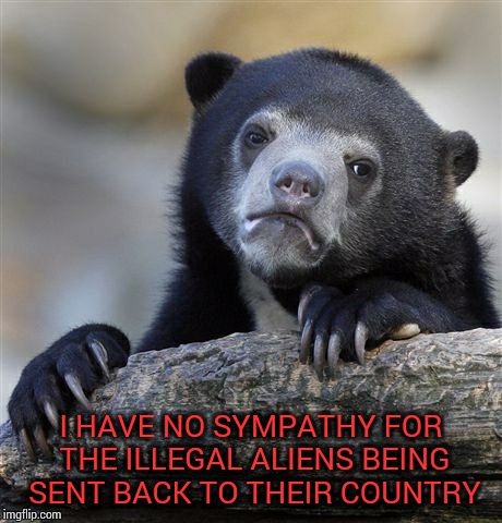 Confession Bear Meme | I HAVE NO SYMPATHY FOR THE ILLEGAL ALIENS BEING SENT BACK TO THEIR COUNTRY | image tagged in memes,confession bear | made w/ Imgflip meme maker