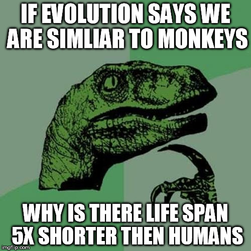 Philosoraptor | IF EVOLUTION SAYS WE ARE SIMLIAR TO MONKEYS; WHY IS THERE LIFE SPAN 5X SHORTER THEN HUMANS | image tagged in memes,philosoraptor | made w/ Imgflip meme maker