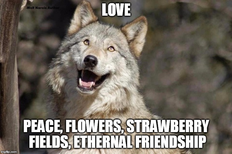 Optimistic Moon Moon Wolf Vanadium Wolf | LOVE; PEACE, FLOWERS, STRAWBERRY FIELDS, ETHERNAL FRIENDSHIP | image tagged in optimistic moon moon wolf vanadium wolf | made w/ Imgflip meme maker