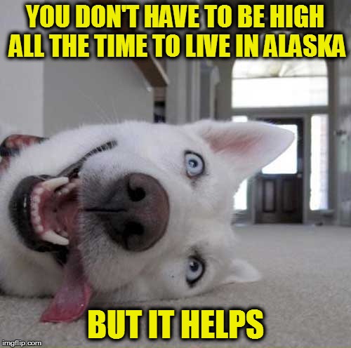 YOU DON'T HAVE TO BE HIGH ALL THE TIME TO LIVE IN ALASKA BUT IT HELPS | made w/ Imgflip meme maker