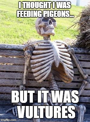 Waiting Skeleton Meme | I THOUGHT I WAS FEEDING PIGEONS... BUT IT WAS VULTURES | image tagged in memes,waiting skeleton | made w/ Imgflip meme maker