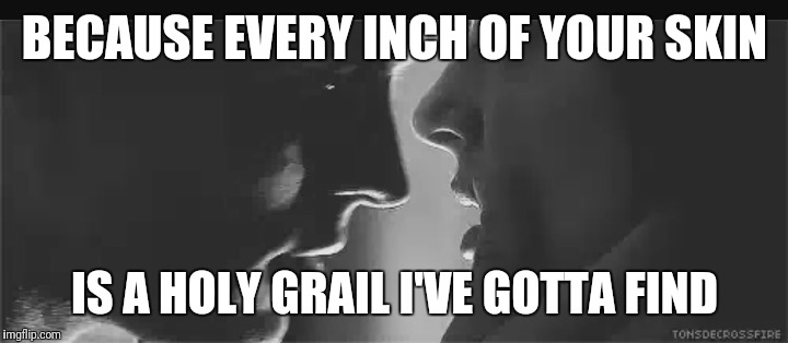 BECAUSE EVERY INCH OF YOUR SKIN; IS A HOLY GRAIL I'VE GOTTA FIND | image tagged in holy grail | made w/ Imgflip meme maker