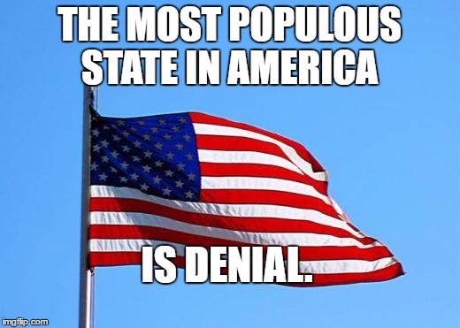 American flag | THE MOST POPULOUS STATE IN AMERICA; IS DENIAL. | image tagged in american flag | made w/ Imgflip meme maker