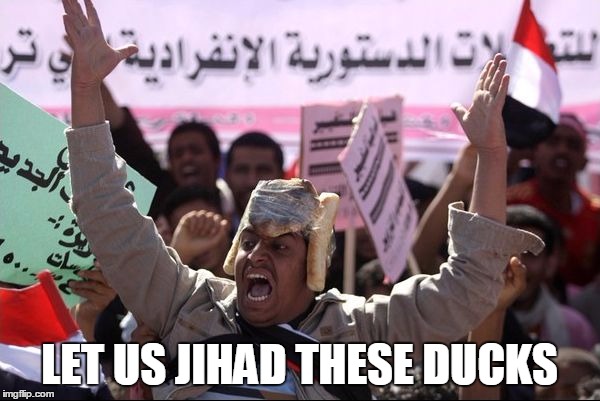 My Hat Is Bread | LET US JIHAD THESE DUCKS | image tagged in my hat is bread | made w/ Imgflip meme maker