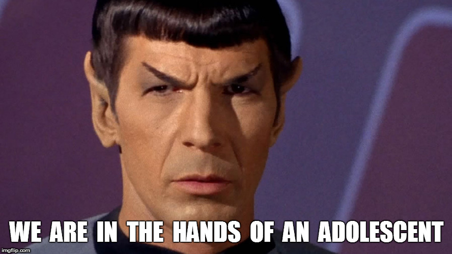 We are in the hands of an adolescent! | WE  ARE  IN  THE  HANDS  OF  AN  ADOLESCENT | image tagged in spock is serious | made w/ Imgflip meme maker