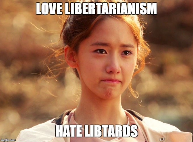 Yoona Crying | LOVE LIBERTARIANISM HATE LIBTARDS | image tagged in yoona crying | made w/ Imgflip meme maker