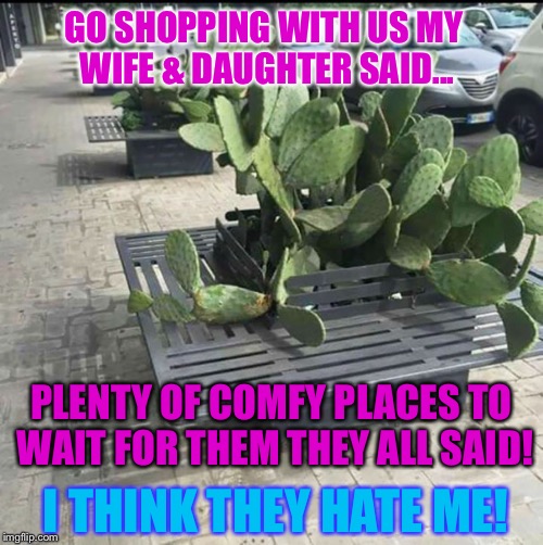 GO SHOPPING WITH US MY WIFE & DAUGHTER SAID... PLENTY OF COMFY PLACES TO WAIT FOR THEM THEY ALL SAID! I THINK THEY HATE ME! | image tagged in 100 natural back scratcher | made w/ Imgflip meme maker