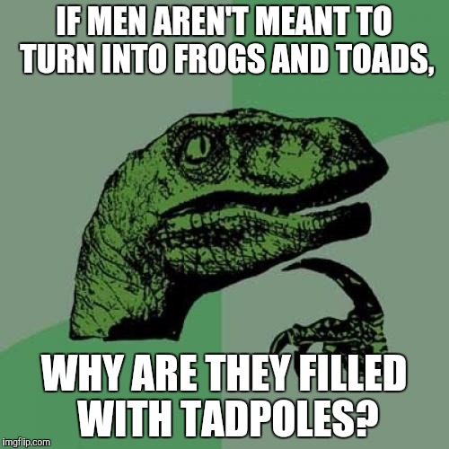 Philosoraptor Meme | IF MEN AREN'T MEANT TO TURN INTO FROGS AND TOADS, WHY ARE THEY FILLED WITH TADPOLES? | image tagged in memes,philosoraptor | made w/ Imgflip meme maker