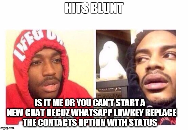 Hits blunt | HITS BLUNT; IS IT ME OR YOU CAN'T START A  NEW CHAT BECUZ WHATSAPP LOWKEY REPLACE THE CONTACTS OPTION WITH STATUS | image tagged in hits blunt | made w/ Imgflip meme maker