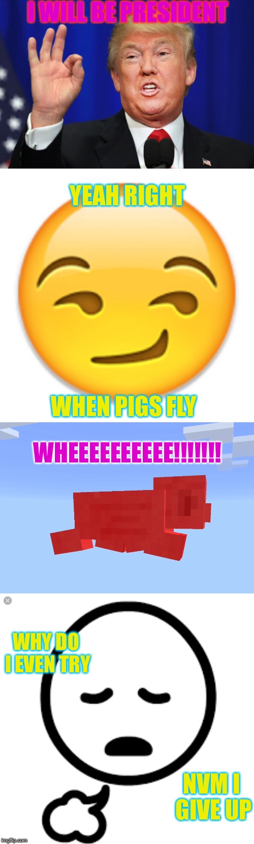 I WILL BE PRESIDENT; YEAH RIGHT; WHEN PIGS FLY; WHEEEEEEEEEE!!!!!!! WHY DO I EVEN TRY; NVM I GIVE UP | image tagged in lols,trump,minecraft,why do i even try | made w/ Imgflip meme maker