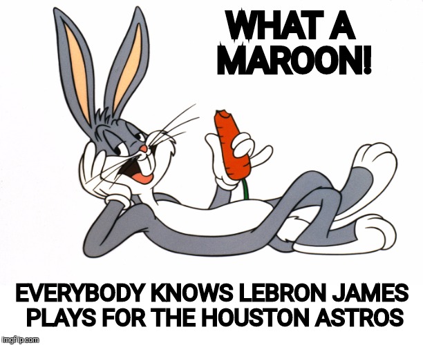 WHAT A MAROON! EVERYBODY KNOWS LEBRON JAMES PLAYS FOR THE HOUSTON ASTROS | made w/ Imgflip meme maker