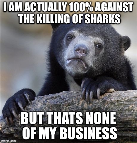 Confession Bear Meme | I AM ACTUALLY 100% AGAINST THE KILLING OF SHARKS BUT THATS NONE OF MY BUSINESS | image tagged in memes,confession bear | made w/ Imgflip meme maker