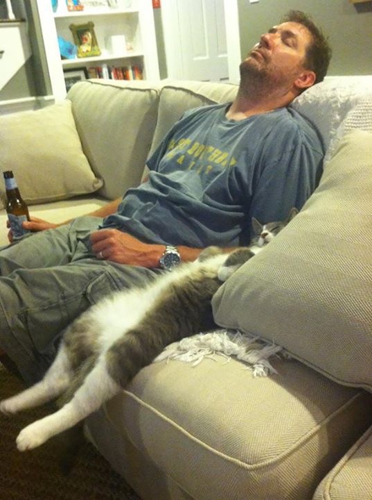 High Quality man and cat Blank Meme Template