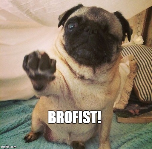 Brofist | BROFIST! | image tagged in brofist | made w/ Imgflip meme maker