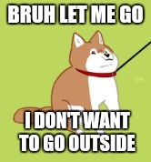 BRUH LET ME GO; I DON'T WANT TO GO OUTSIDE | image tagged in no | made w/ Imgflip meme maker