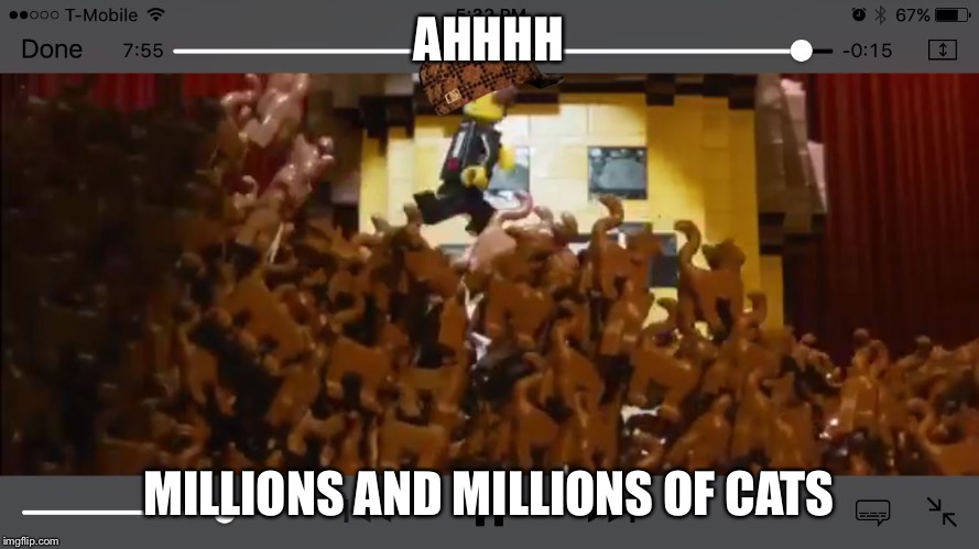 AHHHH; MILLIONS AND MILLIONS OF CATS | image tagged in cats,scumbag | made w/ Imgflip meme maker