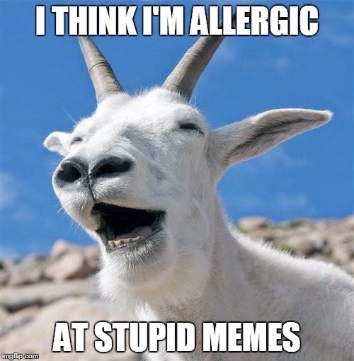 Laughing Goat Meme | I THINK I'M ALLERGIC; AT STUPID MEMES | image tagged in memes,laughing goat | made w/ Imgflip meme maker