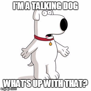 Family Guy Brian Meme | I'M A TALKING DOG; WHAT'S UP WITH THAT? | image tagged in memes,family guy brian | made w/ Imgflip meme maker