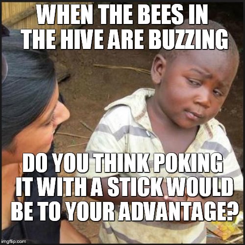 WHEN THE BEES IN THE HIVE ARE BUZZING; DO YOU THINK POKING IT WITH A STICK WOULD BE TO YOUR ADVANTAGE? | image tagged in bees,inspirational,stick,honey,humor,mind your own business | made w/ Imgflip meme maker