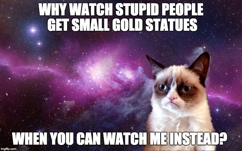 Grumpy Cat | WHY WATCH STUPID PEOPLE GET SMALL GOLD STATUES; WHEN YOU CAN WATCH ME INSTEAD? | image tagged in grumpy cat | made w/ Imgflip meme maker