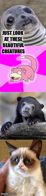 JUST LOOK AT THESE BEAUTIFUL CREATURES | image tagged in grumpy cat | made w/ Imgflip meme maker