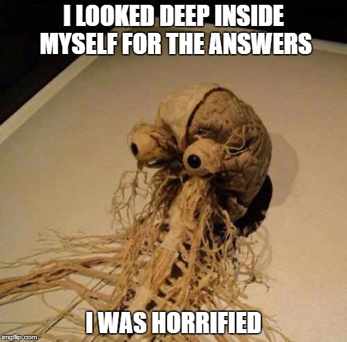 I LOOKED DEEP INSIDE MYSELF FOR THE ANSWERS; I WAS HORRIFIED | image tagged in funny,funny memes | made w/ Imgflip meme maker