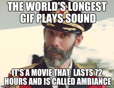 It's technically a gif | THE WORLD'S LONGEST GIF PLAYS SOUND; IT'S A MOVIE THAT  LASTS 72 HOURS AND IS CALLED AMBIANCE | image tagged in memes,captain obvious | made w/ Imgflip meme maker