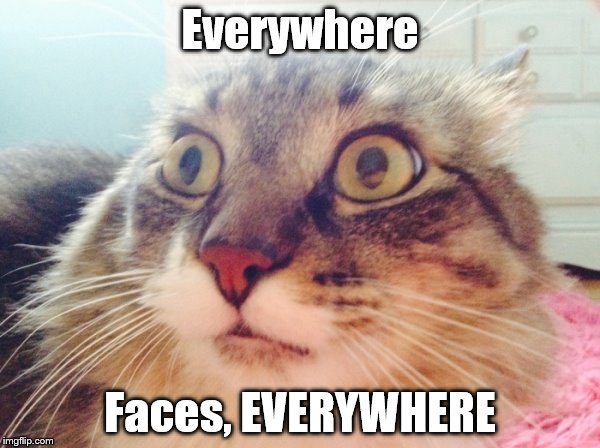 OMG Cat  | Everywhere; Faces, EVERYWHERE | image tagged in omg cat | made w/ Imgflip meme maker