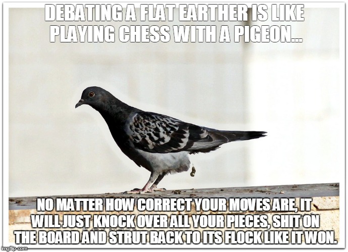 DEBATING A FLAT EARTHER IS LIKE PLAYING CHESS WITH A PIGEON... NO MATTER HOW CORRECT YOUR MOVES ARE, IT WILL JUST KNOCK OVER ALL YOUR PIECES, SHIT ON THE BOARD AND STRUT BACK TO ITS FLOCK LIKE IT WON. | made w/ Imgflip meme maker