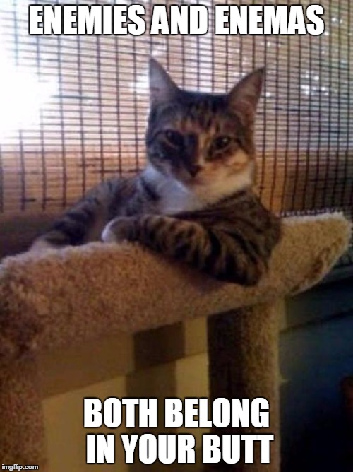 The Most Interesting Cat In The World Meme | ENEMIES AND ENEMAS; BOTH BELONG IN YOUR BUTT | image tagged in memes,the most interesting cat in the world | made w/ Imgflip meme maker