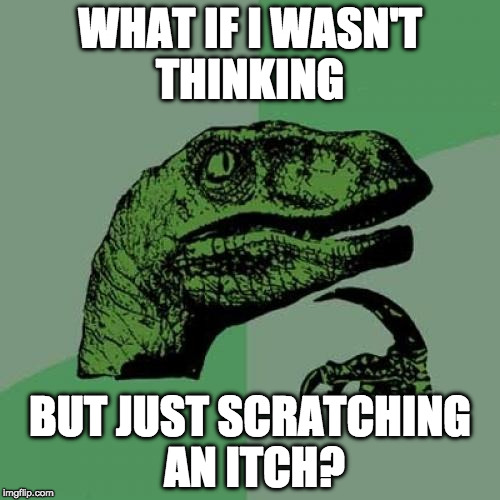 That's....not deep. | WHAT IF I WASN'T THINKING; BUT JUST SCRATCHING AN ITCH? | image tagged in memes,philosoraptor,bacon | made w/ Imgflip meme maker