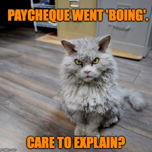 Pompous Albert | PAYCHEQUE WENT 'BOING'. CARE TO EXPLAIN? | image tagged in rubber payday | made w/ Imgflip meme maker
