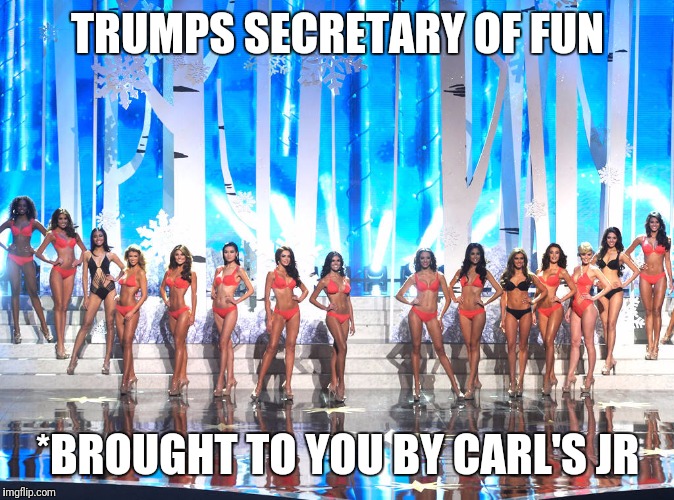 TRUMPS SECRETARY OF FUN; *BROUGHT TO YOU BY CARL'S JR | image tagged in secretary of fun2 | made w/ Imgflip meme maker