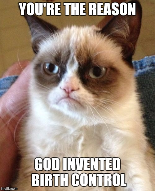 Grumpy Cat Meme | YOU'RE THE REASON; GOD INVENTED BIRTH CONTROL | image tagged in memes,grumpy cat | made w/ Imgflip meme maker