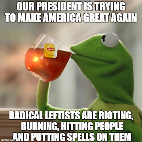 But that's Soro's Business | OUR PRESIDENT IS TRYING TO MAKE AMERICA GREAT AGAIN; RADICAL LEFTISTS ARE RIOTING, BURNING, HITTING PEOPLE AND PUTTING SPELLS ON THEM | image tagged in memes,but thats none of my business,kermit the frog | made w/ Imgflip meme maker
