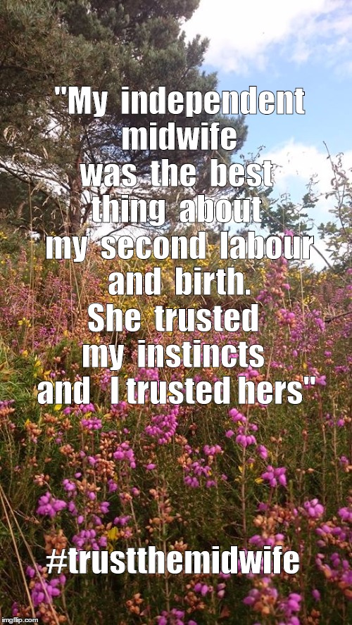 Support for IMUK meme 1 | "My  independent  midwife was  the  best thing  about  my  second  labour  and  birth. She  trusted  my  instincts  and  
I trusted hers"; #trustthemidwife | image tagged in birth | made w/ Imgflip meme maker
