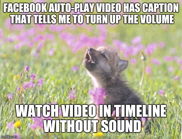 Baby Insanity Wolf Meme | FACEBOOK AUTO-PLAY VIDEO HAS CAPTION THAT TELLS ME TO TURN UP THE VOLUME; WATCH VIDEO IN TIMELINE WITHOUT SOUND | image tagged in memes,baby insanity wolf | made w/ Imgflip meme maker