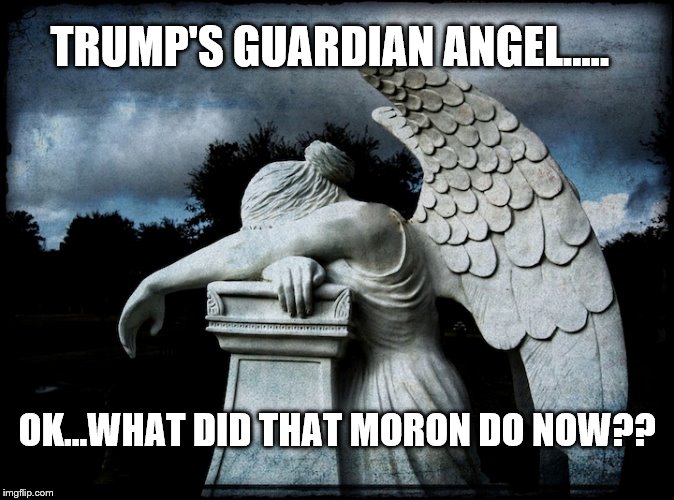 TRUMP'S GUARDIAN ANGEL..... OK...WHAT DID THAT MORON DO NOW?? | made w/ Imgflip meme maker