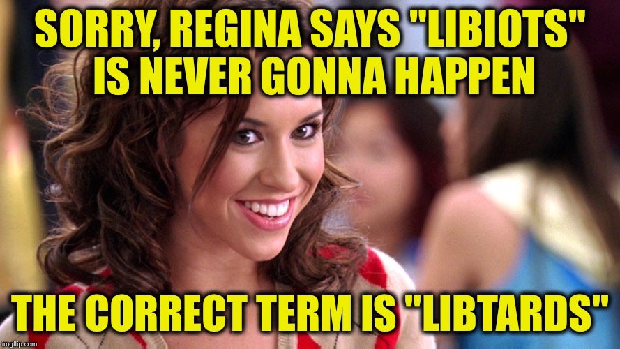 Fetch! | SORRY, REGINA SAYS "LIBIOTS" IS NEVER GONNA HAPPEN THE CORRECT TERM IS "LIBTARDS" | image tagged in fetch | made w/ Imgflip meme maker