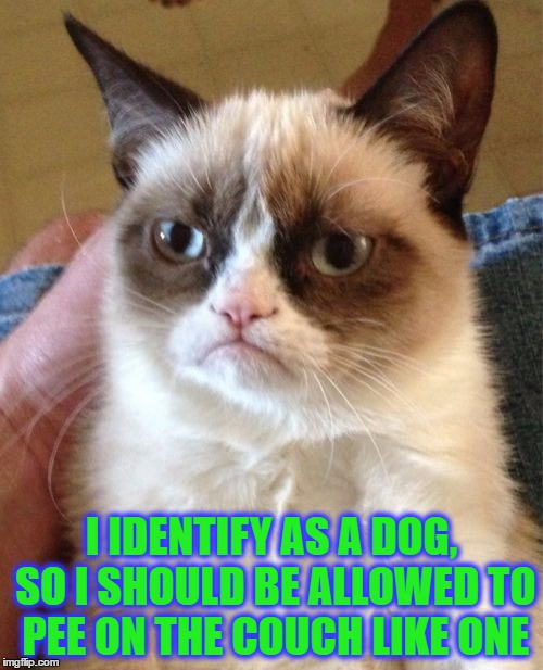 Grumpy Cat Meme | I IDENTIFY AS A DOG, SO I SHOULD BE ALLOWED TO PEE ON THE COUCH LIKE ONE | image tagged in memes,grumpy cat | made w/ Imgflip meme maker