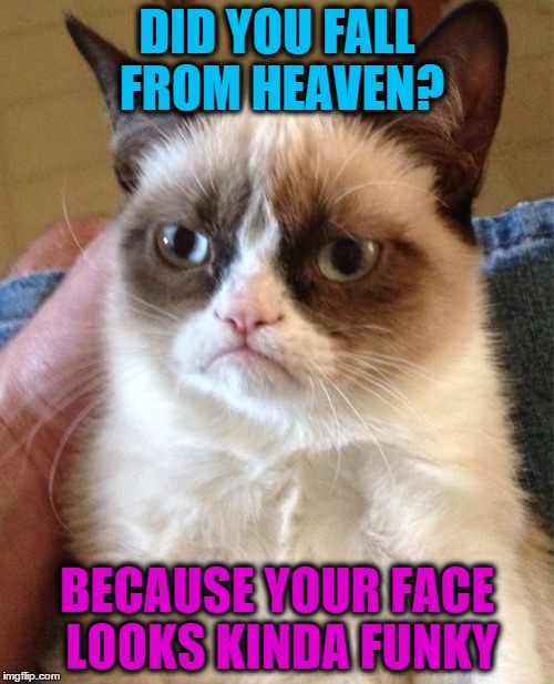 Grumpy Cat | DID YOU FALL FROM HEAVEN? BECAUSE YOUR FACE LOOKS KINDA FUNKY | image tagged in memes,grumpy cat | made w/ Imgflip meme maker