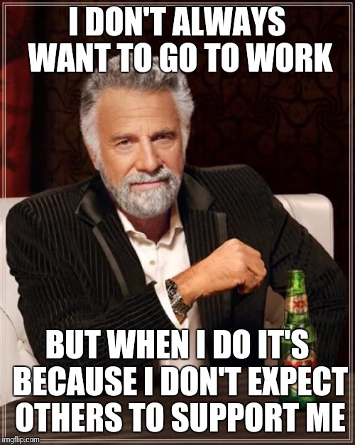The Most Interesting Man In The World Meme | I DON'T ALWAYS WANT TO GO TO WORK; BUT WHEN I DO IT'S BECAUSE I DON'T EXPECT OTHERS TO SUPPORT ME | image tagged in memes,the most interesting man in the world | made w/ Imgflip meme maker