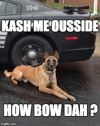 Kash me ousside | KASH ME OUSSIDE; HOW BOW DAH ? | image tagged in cash me ousside how bow dah,cash me ousside,kash me ousside | made w/ Imgflip meme maker