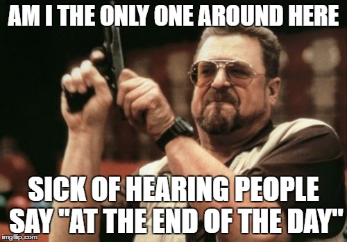 Am I The Only One Around Here | AM I THE ONLY ONE AROUND HERE; SICK OF HEARING PEOPLE SAY "AT THE END OF THE DAY" | image tagged in memes,am i the only one around here | made w/ Imgflip meme maker