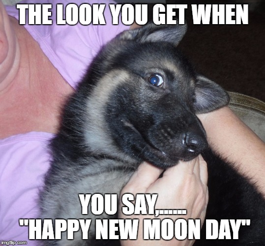 THE LOOK YOU GET WHEN; YOU SAY,...... "HAPPY NEW MOON DAY" | made w/ Imgflip meme maker