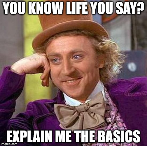 Creepy Condescending Wonka Meme | YOU KNOW LIFE YOU SAY? EXPLAIN ME THE BASICS | image tagged in memes,creepy condescending wonka | made w/ Imgflip meme maker