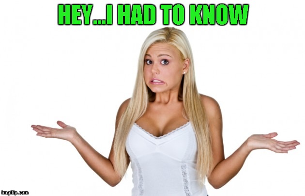 HEY...I HAD TO KNOW | made w/ Imgflip meme maker