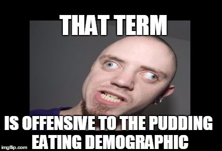 LibTard | THAT TERM; IS OFFENSIVE TO THE PUDDING EATING DEMOGRAPHIC | image tagged in liberal | made w/ Imgflip meme maker