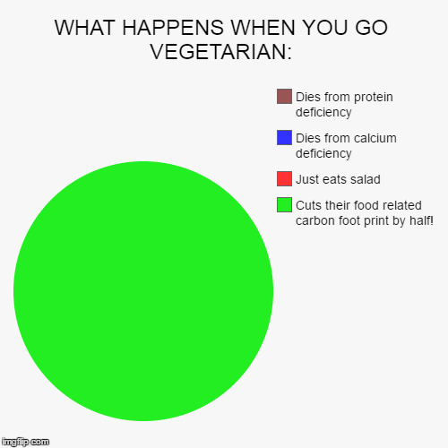 image tagged in funny,pie charts | made w/ Imgflip chart maker